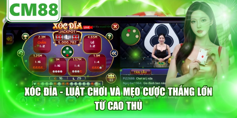 Xóc Đĩa - Luật Chơi Và Mẹo Cược Thắng Lớn Từ Cao Thủ
